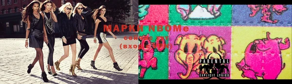 мдпв Новодвинск
