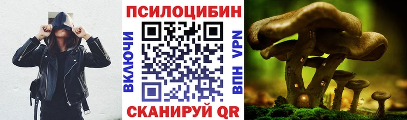 Галлюциногенные грибы Psilocybe  ссылка на мегу маркетплейс  Сасово 